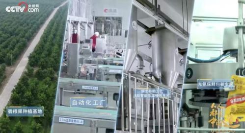 洽洽食品榮膺“十四五”雙項殊榮，樹立堅果行業(yè)管理新標桿